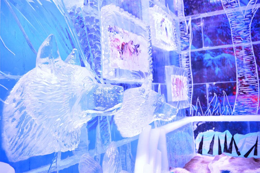 minus5 at the venetian 49649675773 o