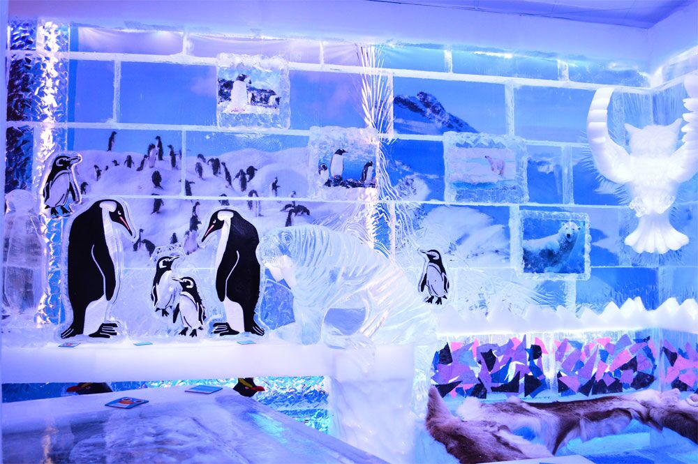 minus5 at the venetian 49650208321 o