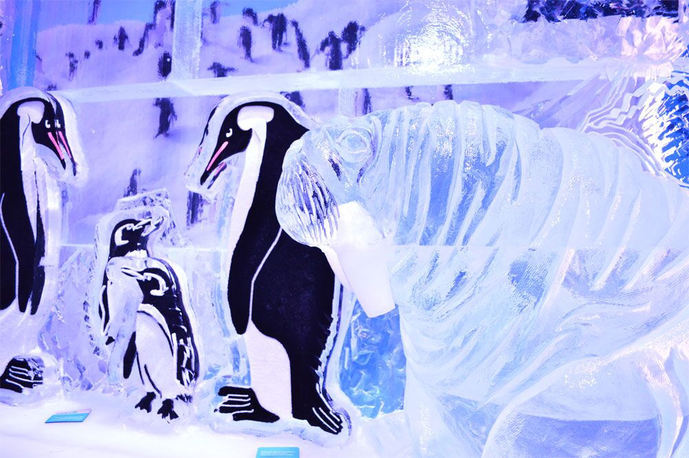 minus5 at the venetian 49650215356 o