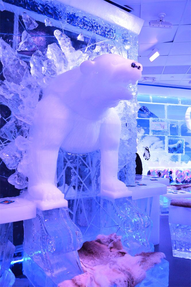 minus5 at the venetian 49650489402 o