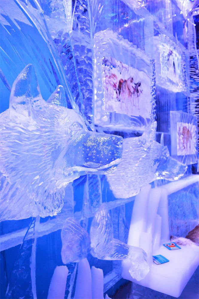 minus5 at the venetian 49650490432 o