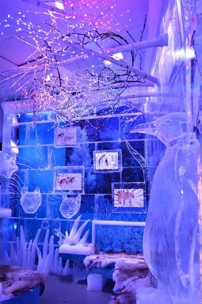 minus5 at the venetian 49650491377 o