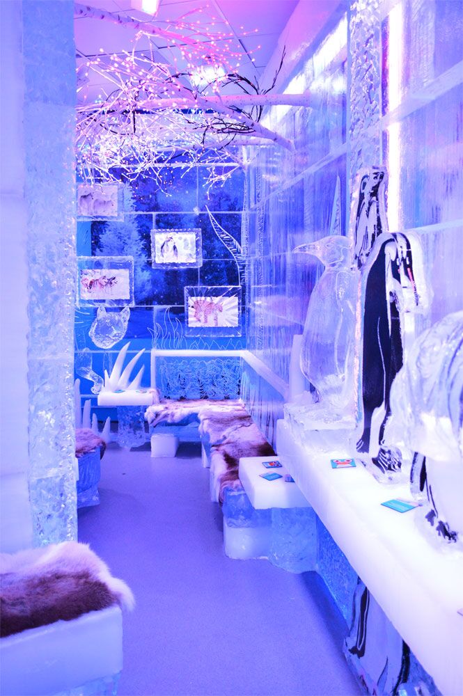 minus5 at the venetian 49650492077 o