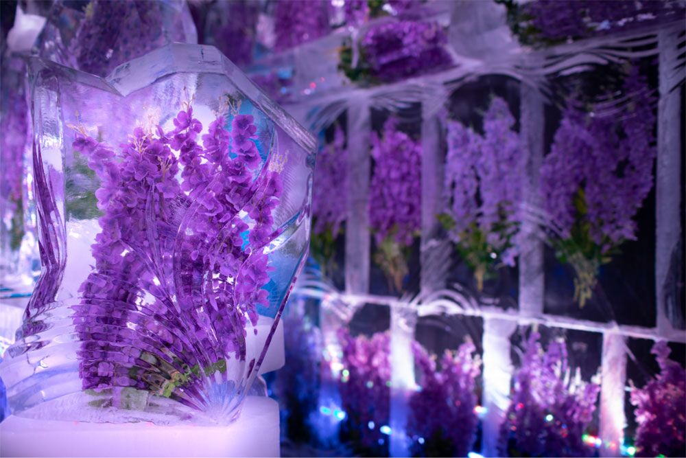 minus5 icebar the linq promenade 49420902907 o