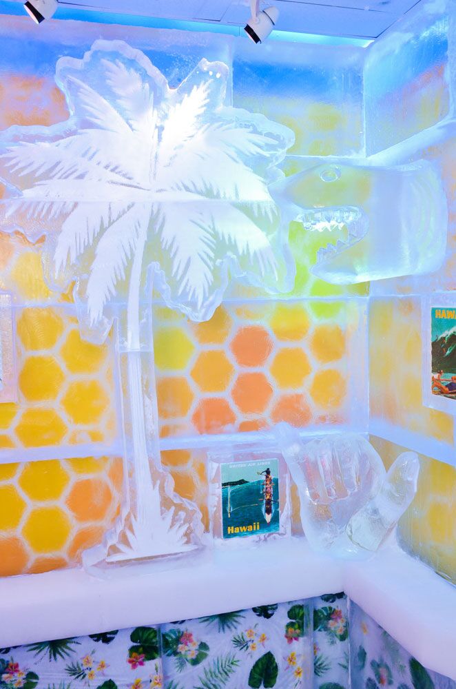 dsc 4532 52003805032 o