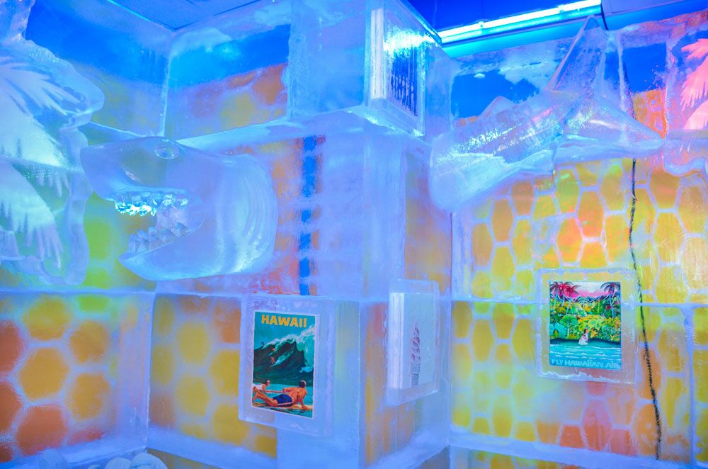 minus5 icebar new ice april 2022 52003808252 o