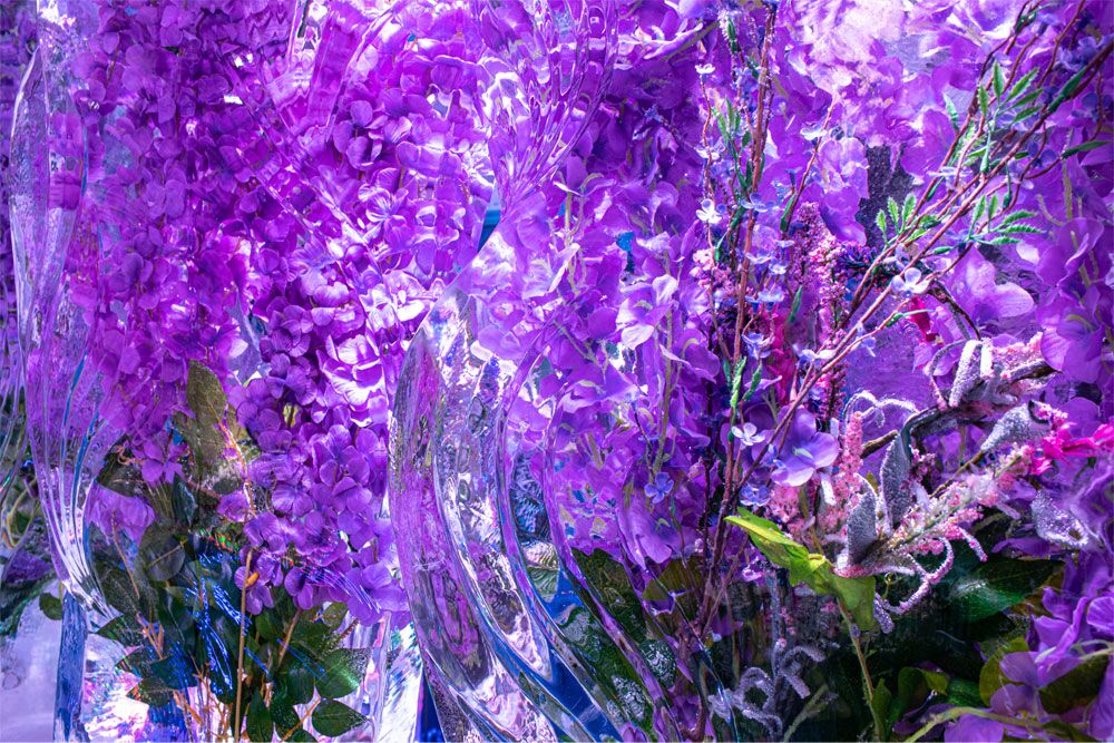 minus5 icebar the linq promenade 49420904682 o